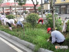 【绿化】园林绿化工程春季养护管理工作内容