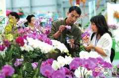 【花卉】农村电子商务的发展为花卉产业注入新动力