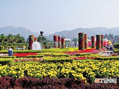 【花】佛山市：顺德花博园打造全球最大鲜切花市场