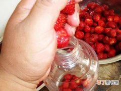 【方法】用草莓酿酒的新工艺新方法