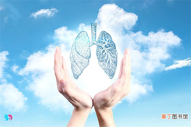 冬天怎么养肺？几个动作帮你改善肺功能