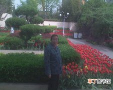 【花卉】新疆生产建设兵团1.2万余株花卉扮靓团场小城镇