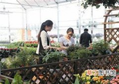 【花卉】中国首届家庭花卉园艺展览会本月在夏溪花木市场开幕