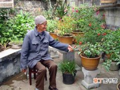 【养花】101的老寿星赵庞氏老人长寿秘诀——养花弄草