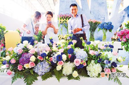 【花卉】第十七届中国昆明国际花卉展隆重开幕 电力局为花卉节做好电保姆
