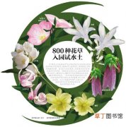 【花】迎接2019北京世园会 800种花草入园试水土