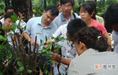 【花卉】湘潭市经开区响水乡举办花卉园艺培训班 助村民就业