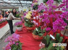 【花卉】广东省顺德市：将推动600家花卉总部企业走出去
