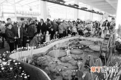 【花卉】9月28日 第七届安徽省花卉博览会在阜阳开幕