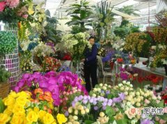【花卉】西青区梨园花卉市场：2016天津梨园花卉金秋旅游文化节即将开幕