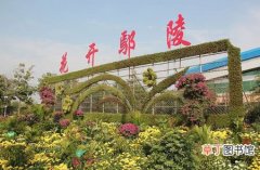 【花木】河南省：第十六届中国·中原花木交易博览会在鄢陵县即将开幕