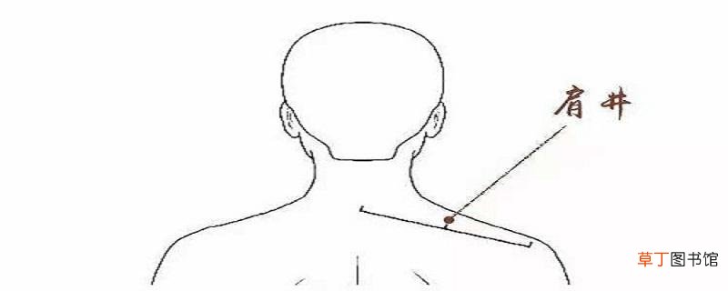 肩井的准确位置图和作用 经常按摩肩井的好处