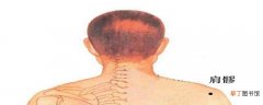 肩髎的准确位置图 肩髎的功效与作用