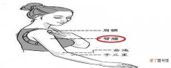 臂臑的定位 臂臑的位置和作用