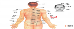胃仓的准确位置图作用 胃仓痛是什么症状