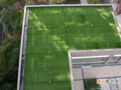 【草坪】屋顶种植草坪的方法和施工流程