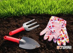 【土壤】怎么给养花用的土壤消毒？有哪些方法？