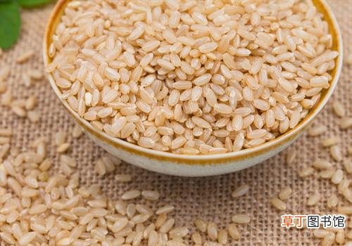 糙米用热水温水还是凉水泡 糙米这么做才好吃