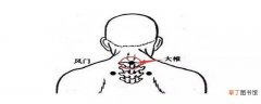 大椎的位置在哪里 大椎穴的作用与好处