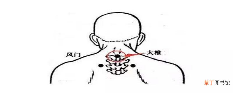 大椎的位置在哪里 大椎穴的作用与好处