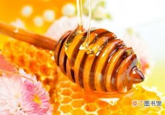 土蜂蜜会过期吗 土蜂蜜可以保存多久