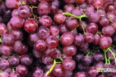 【葡萄】盆栽葡萄落果怎么办有哪些解决方法？