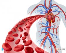 预防血管硬化的方法，预防血管硬化吃什么?