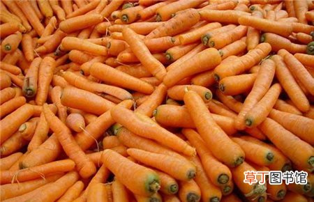 【常见】胡萝卜的常见品种有哪些？
