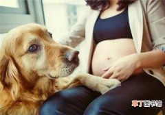 孕妇让狗咬了怎么办 能注射狂犬疫苗吗