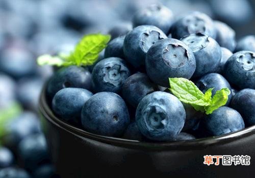 蓝莓和什么榨汁好喝 蓝莓和这5种水果榨汁让你清爽一夏