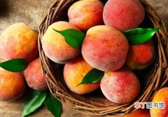 水蜜桃可以放冰箱保存吗 水蜜桃这样保存更好吃