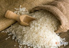 夏天大米生虫还能吃吗 如何防止大米生虫子