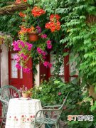 【花】家庭庭院或露台小型花园植物搭配方案
