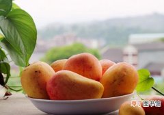 芒果是酸性还是碱性 怎么看水果的酸碱性