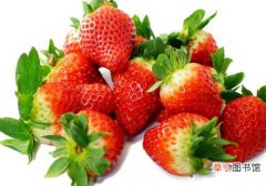 杨梅和草莓可以一起吃吗 草莓不能和什么一起吃