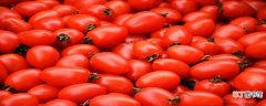 西红柿外面有黑点能吃吗 西红柿怎么保存合适