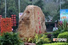 【植物】华南植物园具体地址在哪？