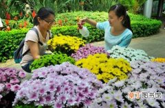 【植物】南京中山植物园怎么样？南京中山植物园好玩吗？