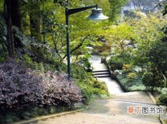 【植物】重庆南山植物园怎么走？怎么坐车？