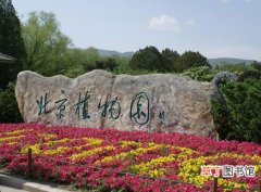 【植物】北京植物园好玩吗？北京植物园怎么样？