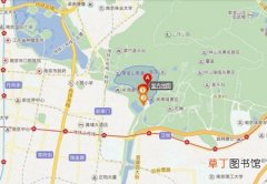 【植物】南京中山植物园怎么走？去中山植物园怎么坐车？