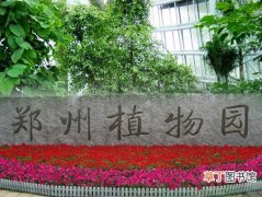 【价格】郑州植物园门票价格是多少钱？