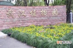 【植物】武汉植物园具体地址在哪？
