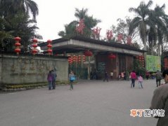 【游玩攻略】华南植物园景点介绍和游玩攻略