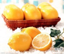 【营养】柠檬的营养价值和食用功效与作用介绍