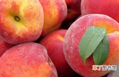 【吃】产妇可以吃桃子吗？桃子的营养价值及食用禁忌