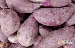 【吃】紫薯不能和什么一起吃？紫薯的功效与作用及吃法做法