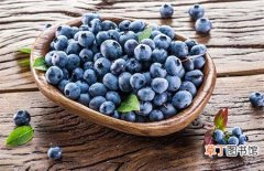 【吃】蓝莓怎么吃最有营养？蓝莓的营养价值及吃法做法大全
