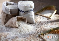 长了虫的大米还能吃吗 怎样防止大米生虫子