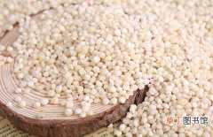 【吃】高粱米怎么做好吃？高粱米的功效与作用及食用方法